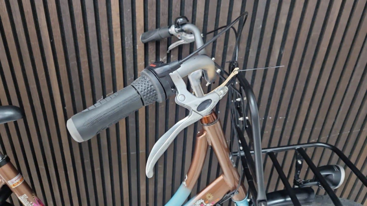 Batavus Blockbuster transportfiets 56 cm tweedehands (foto 4)