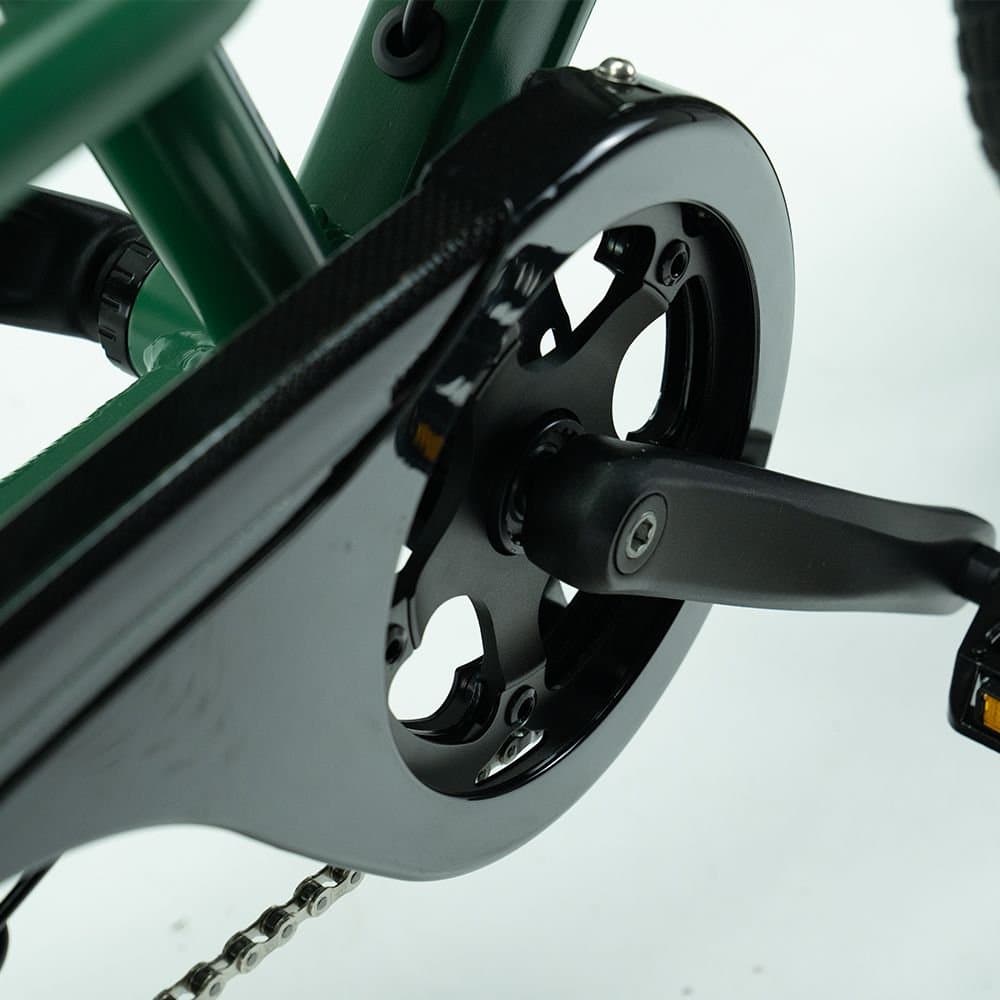 Jobobike Transer E-bakfiets Bafang Achterwielmotor 624wh 7v (foto 3)