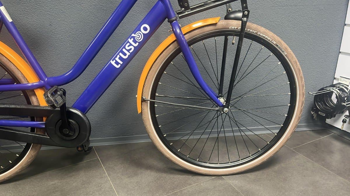 trustoo Cruiserfiets (foto 3)