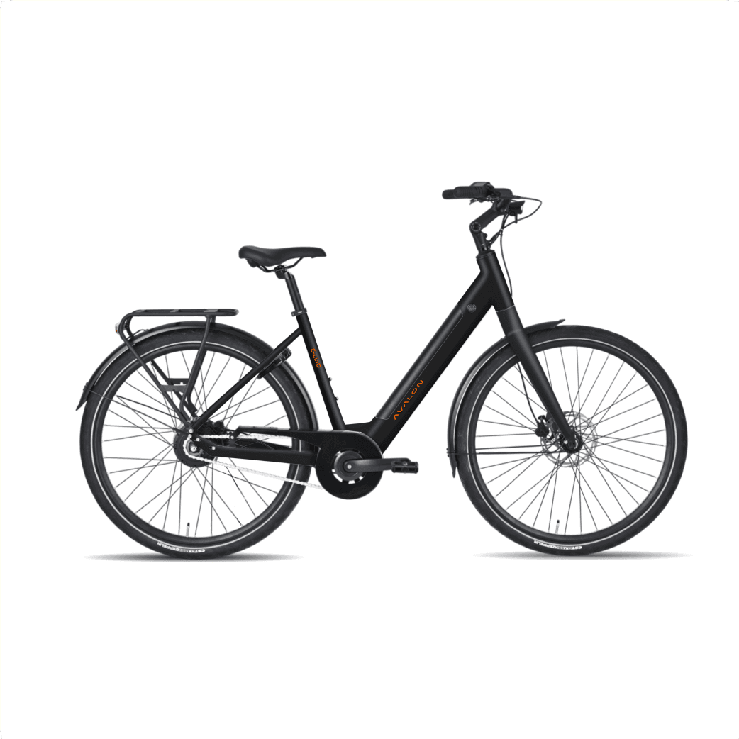 Avalon E-linq stadsfiets achterwielmotor Ananda 504Wh foto 2