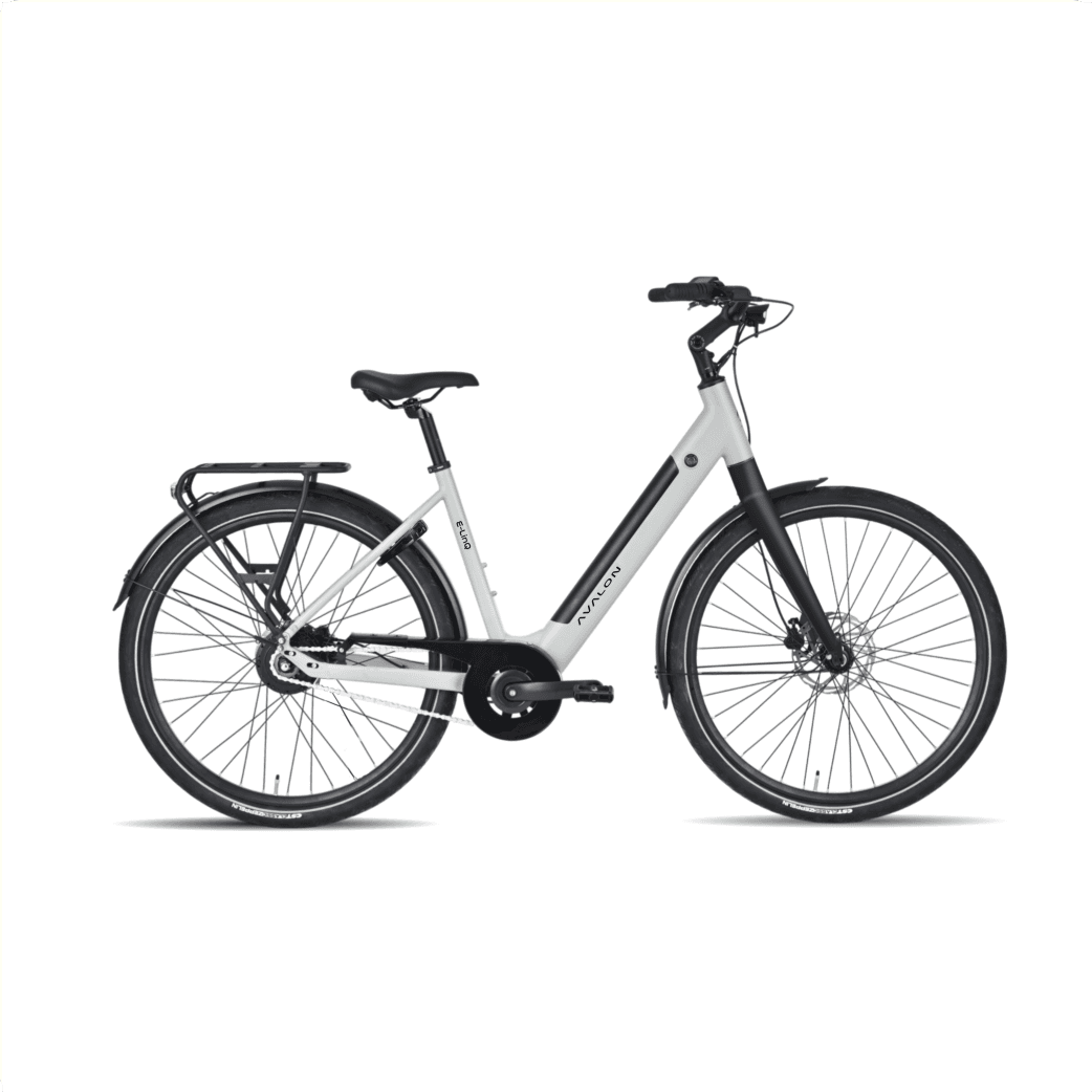 Avalon E-linq stadsfiets achterwielmotor Ananda 504Wh foto 3
