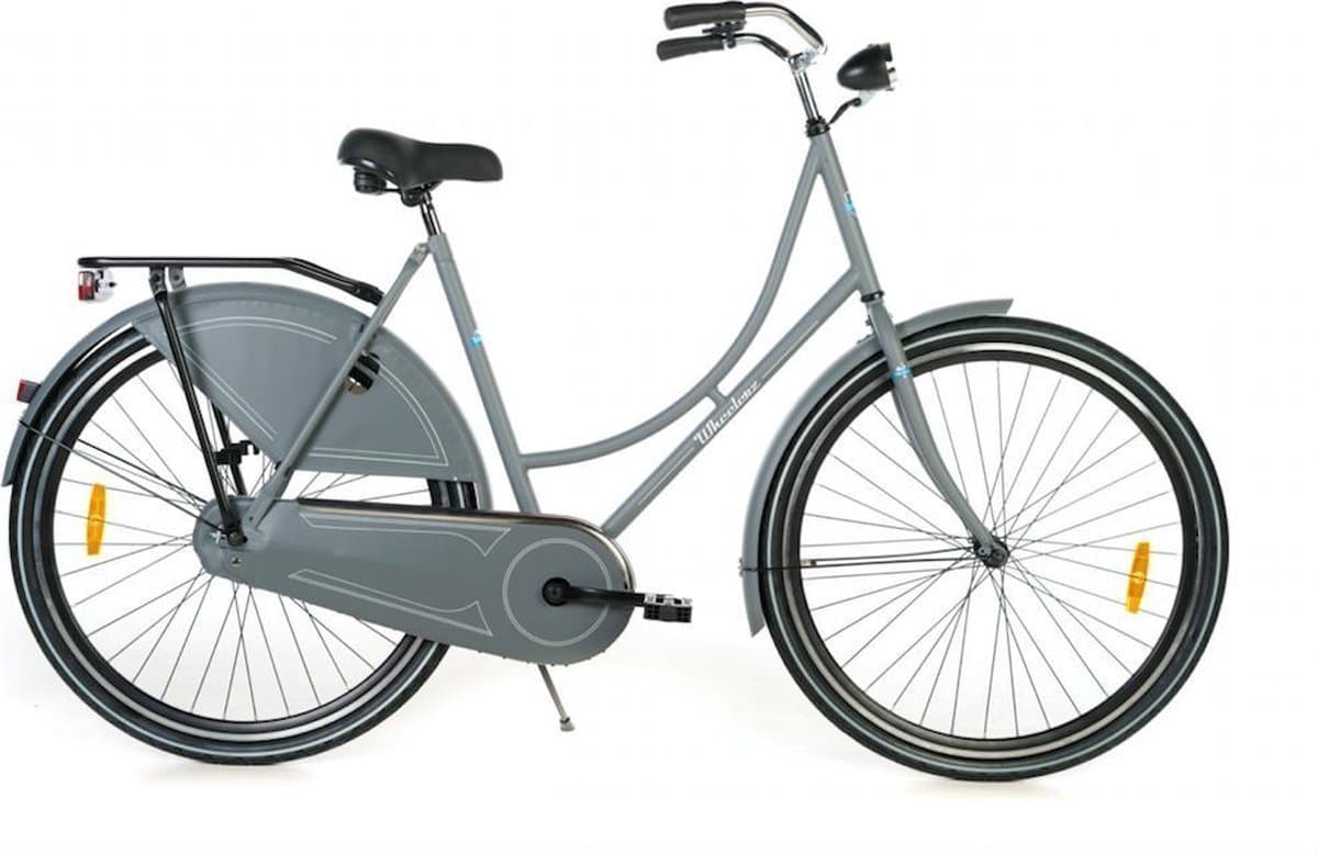 Wheelerz Omafiets grijs 57cm vanaf zijkant
