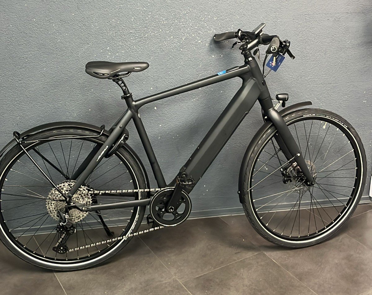 Velo De Ville 6TY Fazua Ride 60 2024 - Afbeelding 4